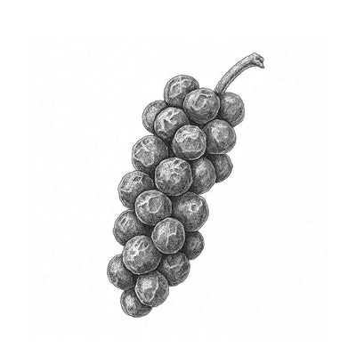 Essence de Poivre noir