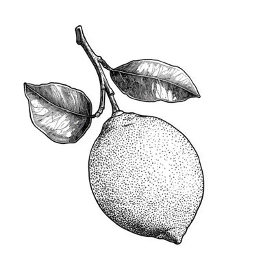 Essence de Yuzu