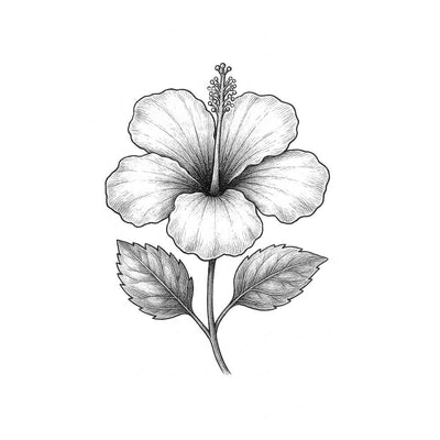 Geranium