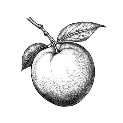 Pêche