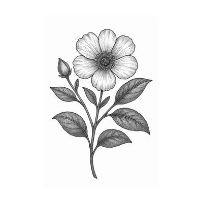 Absolue Labdanum