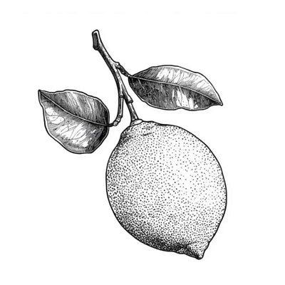 Essence de Limette