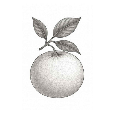 Essence de Mandarine