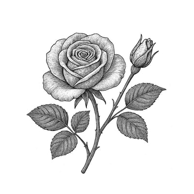 Essence de Rose