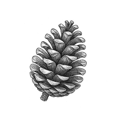 Pin