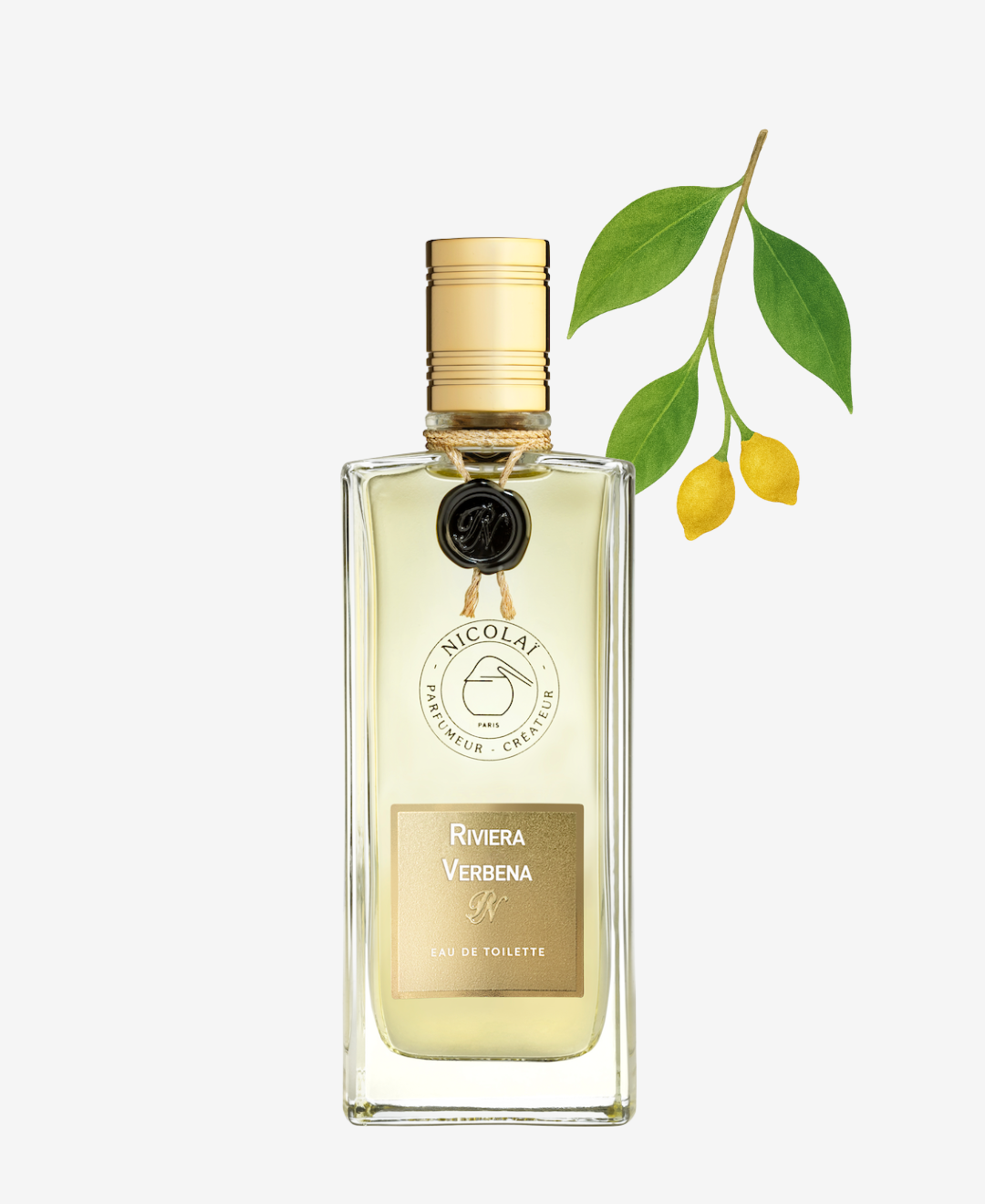 Riviera Verbena