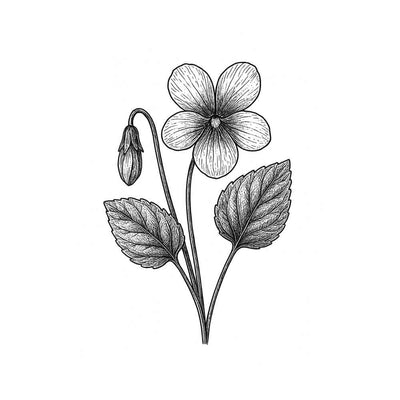 Violette