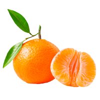 mandarine-web.jpg